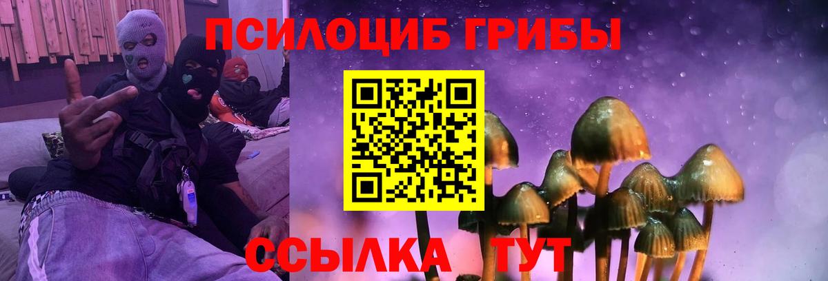 Галлюциногенные грибы Psilocybine cubensis Наро-Фоминск